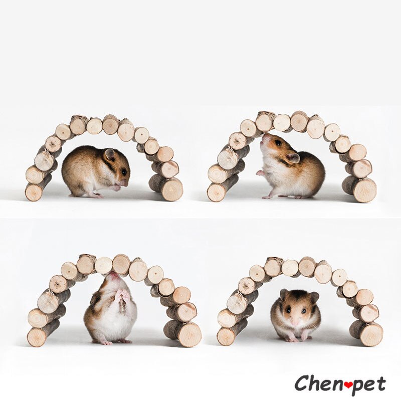 Juguete para mascotas pequeñas, hámster, puente de escalera de madera, loro, Pájaro de pie, conejillo de indias, Chinchilla, ejercicio, juguetes para masticar, decoración de jaula