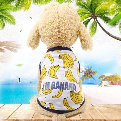 Leuke Zomer Hond Vest Kleding Banaan Fruit Patroon Puppy Hond Katten T-shirt Vest Sweatshirt Mesh Huisdieren Kleding DOGGYZSTYLE: banana / M