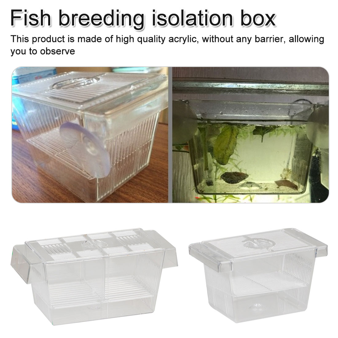 Acuario transparente doble cuenco Fighting Fish Mini casa caja incubadora para aislamiento Fry incubadora jaula para reptil Turtle House
