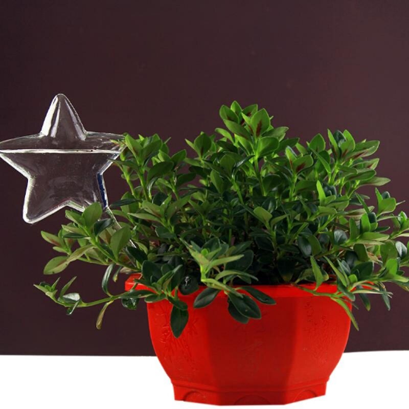 6 soorten Huis Planten Bloemen Water Feeder Automatische Zelf Sproeisysteem Apparaten Glass Water Feeder Vogel Vorm Vazen: 2