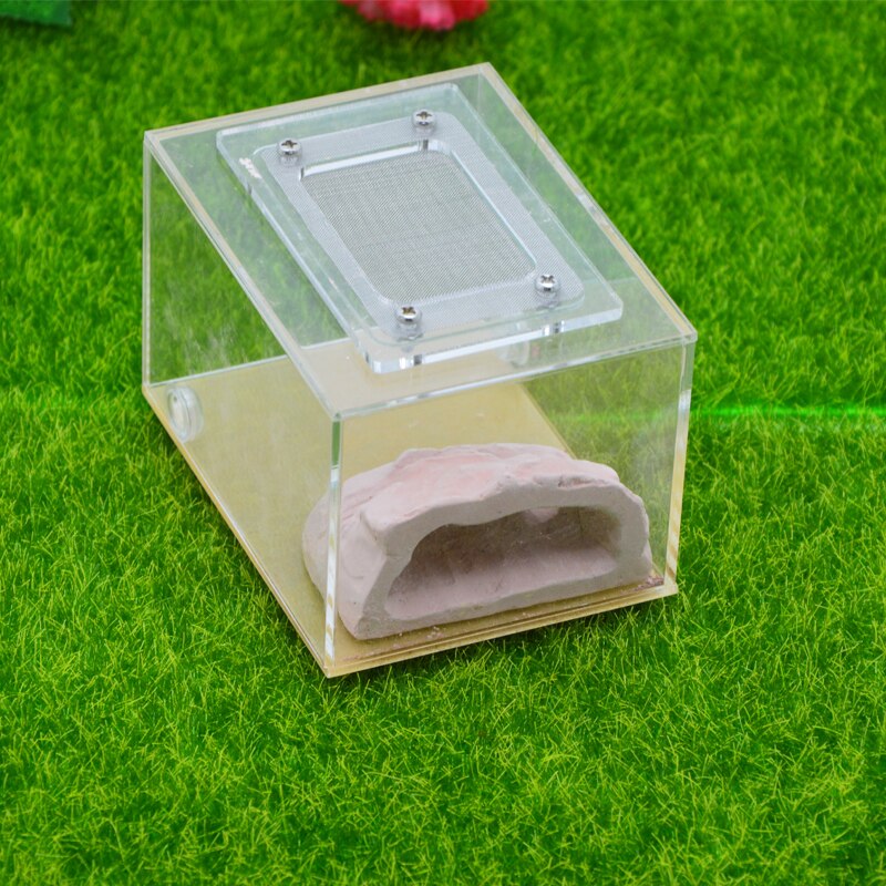 Imitation Ecological Ant Farm DIY Plaster Rockery Pet Ant Castle Landscaping Workshop Home Ants Farm House