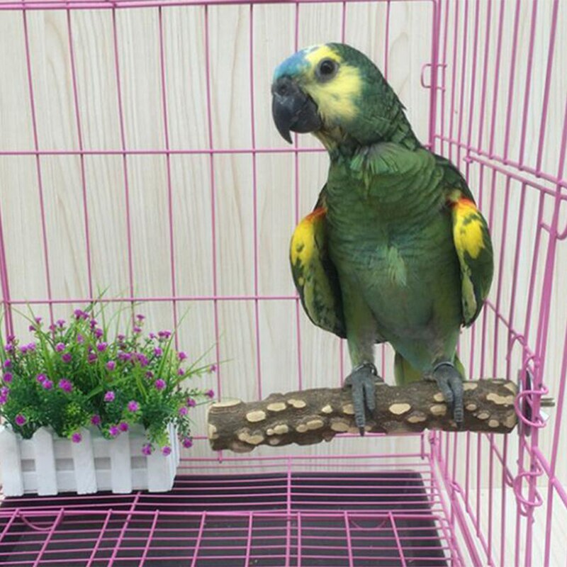 Oiseau griffe bec barre de meulage bâton debout perroquet Station pôle oiseau fournitures perroquet support griffes Cage accessoires 10cm