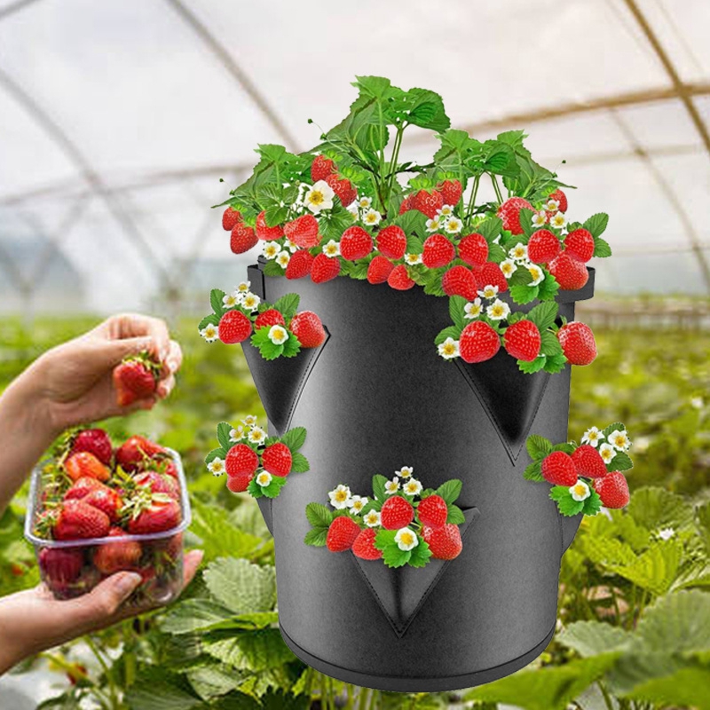 Felt Potato Grow Bag Reusable Planting Grow Pot Multi-Mouth Vegetable Fruit Plant Bag Hanging Planter Garden Supplies