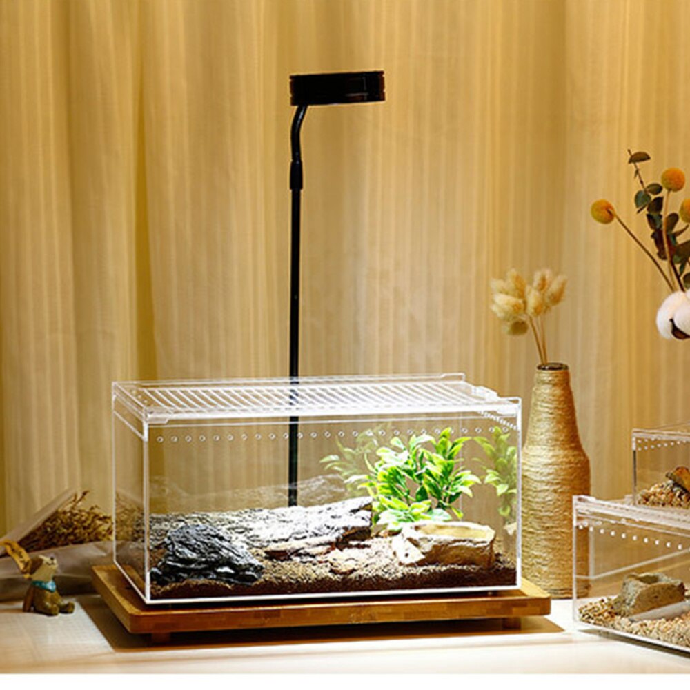 Nido de reptiles acrílico duradero, caja de alimentación práctica, suministros para reptiles, nido para cría de árboles, Rana, lagarto, camaleón, 1 unidad