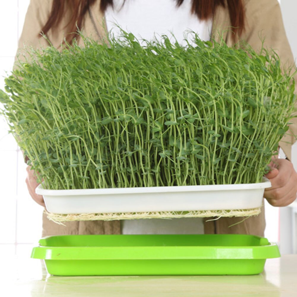 1PC Seed Sprouter Tray Bean Sprout Grower Germination Kit Soil-Free Seed Tray Dirt Free Way Big Capacity Bean Sprout Grower