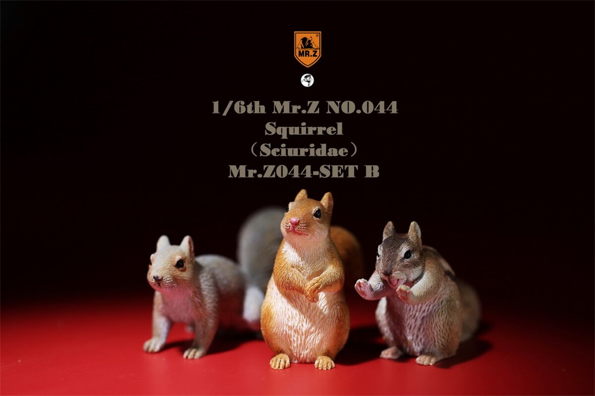 Mr.Z Studio 1:6 3Pcs Squirrel Pet Figure Sciuridae Animal Collector Model Toy Kid Resin Ornaments Healing Small Jewelry: Mr.Z044-SET B