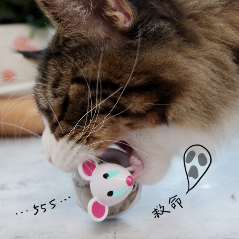 MPK – jouet d&#39;exercice pour chat, pour les chats affamés et gras, mangeoire pour contrôler la consommation de nourriture tout en encourageant l&#39;exercice