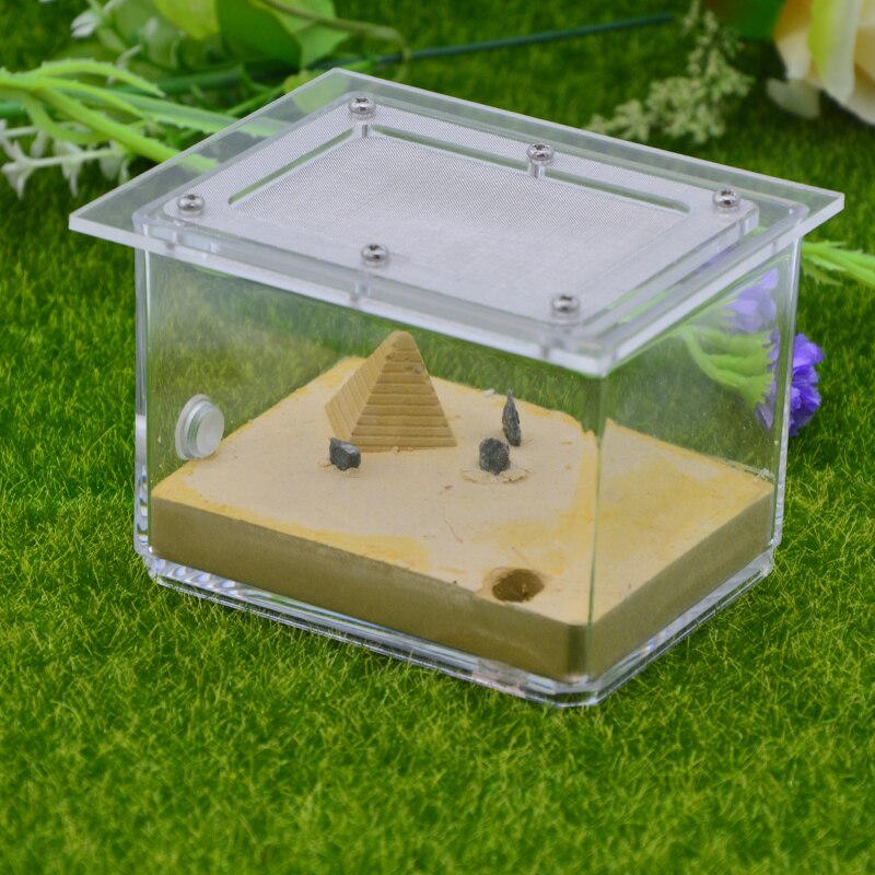 Concrete Ant Nest Acrylic Ant Farm Workshop Flat Nest Gypsum Landscaping Ant Nest 9x9x7cm: Color-B