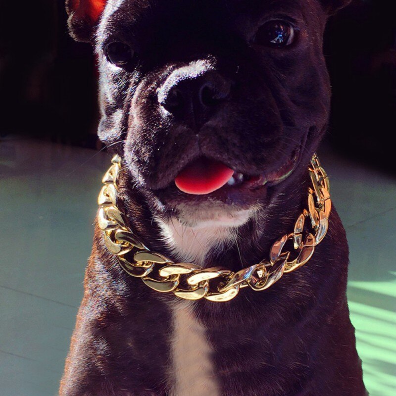 Lien cubain épais chaîne dorée chien chat animaux collier de sécurité collier pour animaux de compagnie pour Pit Bull, dogue, bouledogue, grandes races