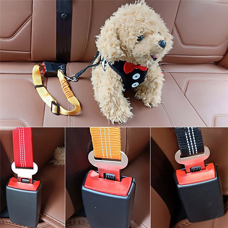 Pet Hond Kat Autogordel Verstelbare Harnas Veiligheidsgordel Leash Voor Small Medium Honden Reizen Clip Dierbenodigdheden Hond Accessoires puppy