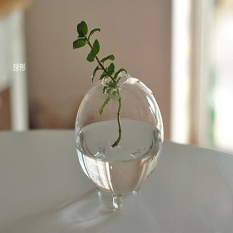 Desk Glass Flower Vase Terrarium Fish Tank Aquarium Container Transparent Flower Planter Pots Home Garden Decoration: D