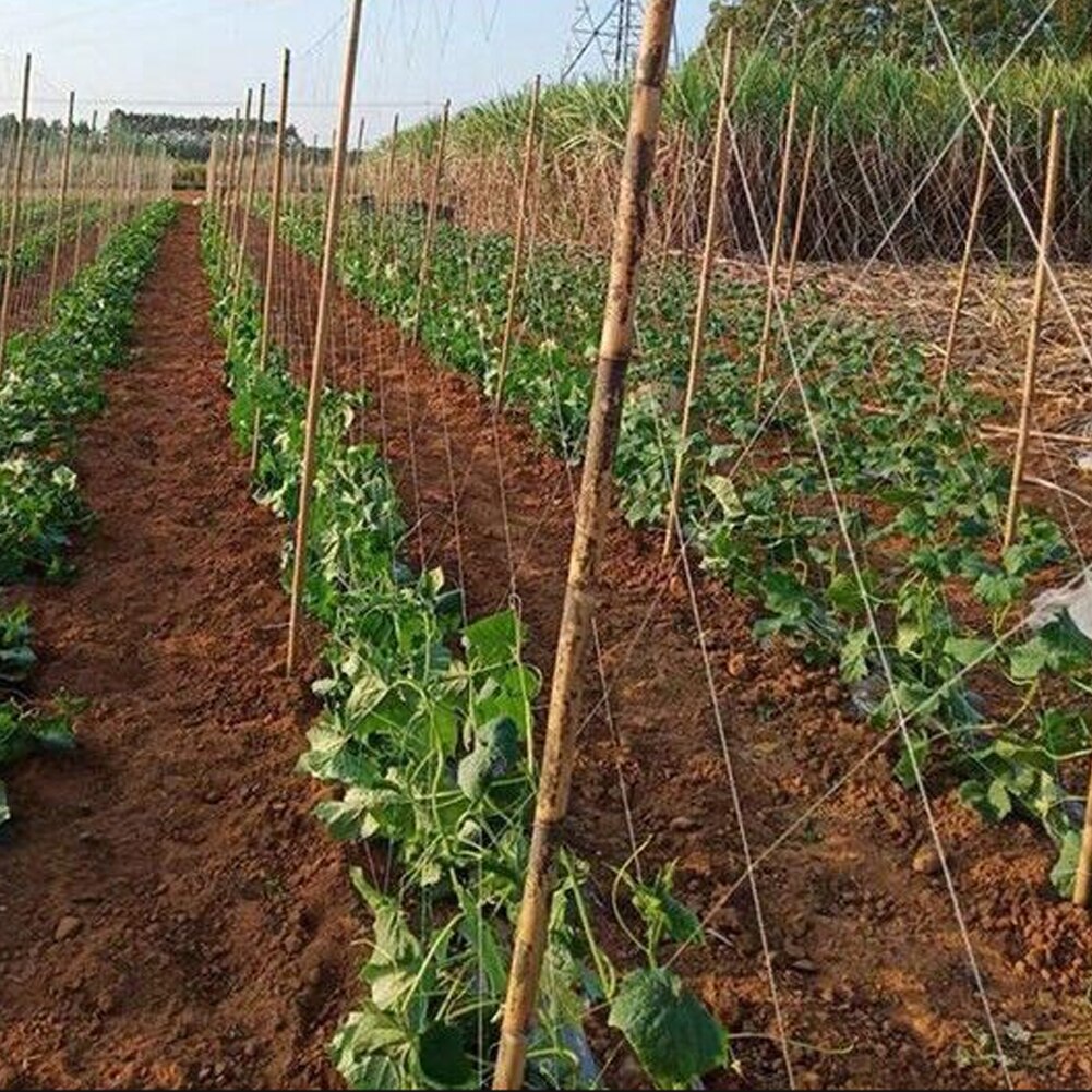 Plant Trellis Netting Heavy-Duty Polyester Plant Support Vine Climbing Hydroponics Garden Net Accessories Multi Use