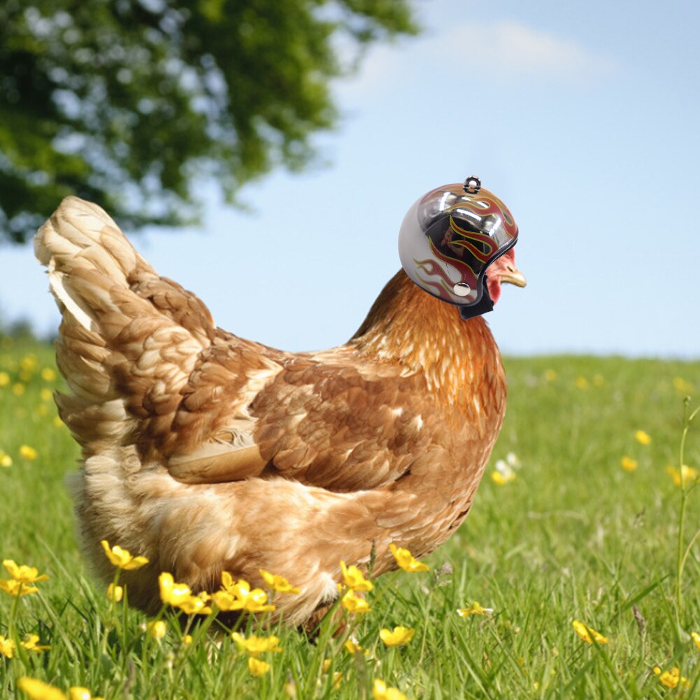 Poultry Chicken Helmet Pet Hard Hat Duck Quail Funny Chickens Hat Pet Funny Chicken Helmet Head Protection Chicken Hen Hard Hat