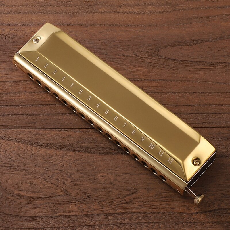 Harpe Harmonica à 12 trous, 48 tons, diatonique, Key C, bleu, Jazz, orgue buccale, éducation précoce, entraînement au sens de la musique
