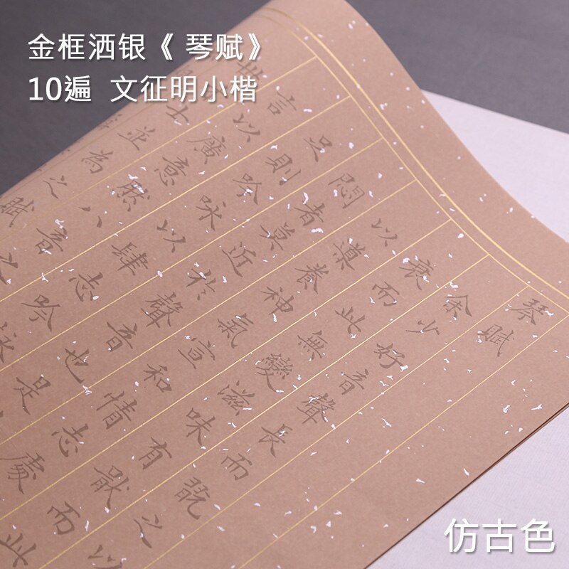 Copybook Chinese Brush Calligraphy Copybook 10sheets Multipel Type Adult Beginner Chinese Regular Script Calligraphy Copybooks: P