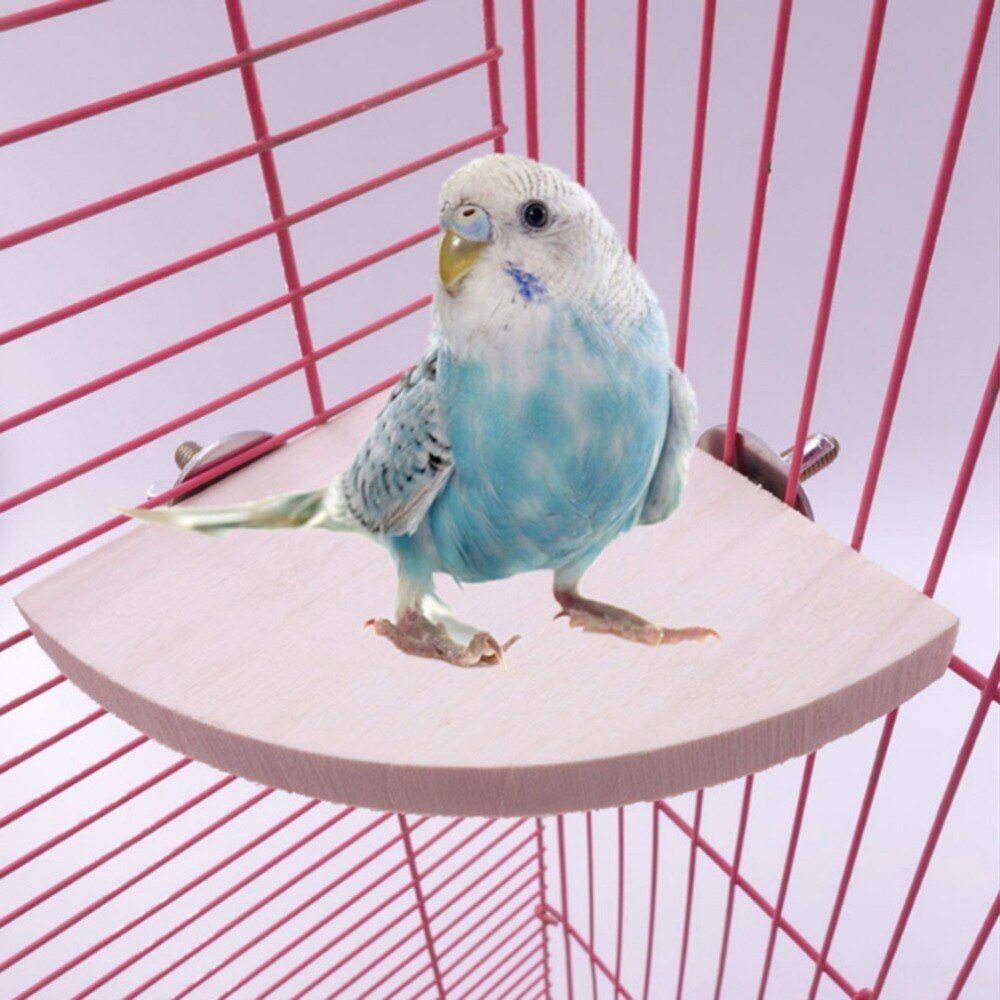 Support en bois en forme d'éventail pour perroquets et oiseaux, accessoires pour Cage à oiseaux, perche pour petit Animal, Chinchilla, écureuil et Hamster