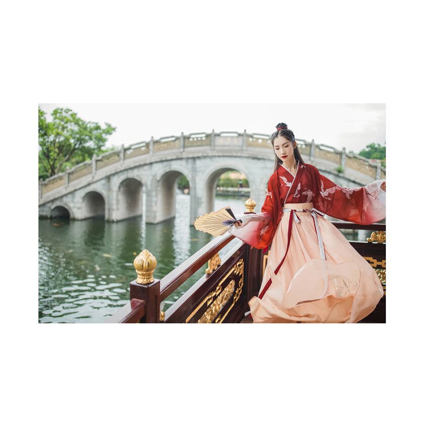 Traje Hanfu de estilo tradicional chino, ropa de mujer, 2 piezas, juego de Cosplay de dinastía Tang, disfraz de hada Princesa, ropa de Festival de Año para chica adulta