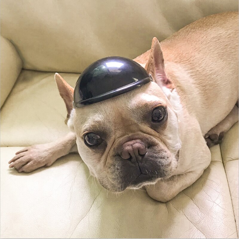 Sommer Katze Hund Hütte Motorrad Helm Kühlen Haustier Kappe für klein Mittel Hunde Chihuahua Yorkies Welpe Kopfschmuck Mascotas Zubehör
