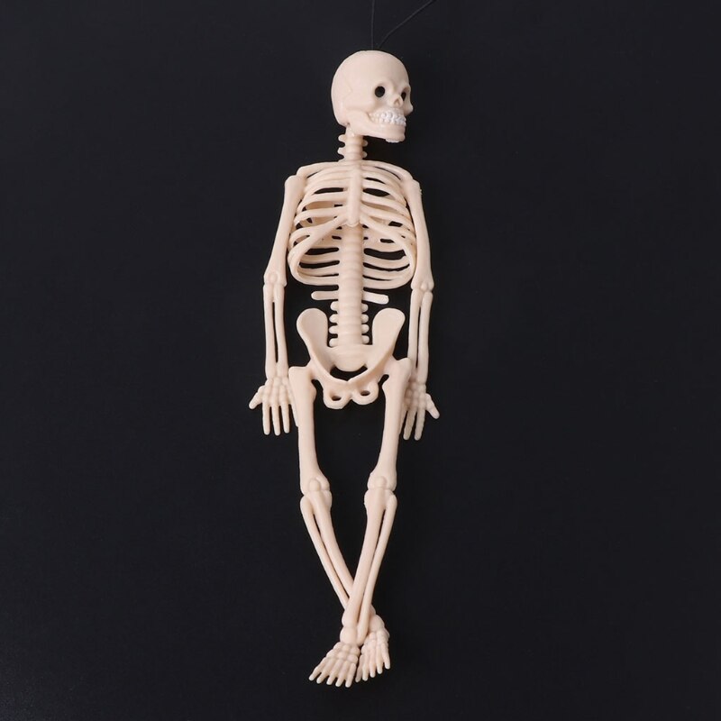 Skelet Menselijke Schedel Model Full Body Mini Figure Speelgoed Telefoon Hanger Halloween 19QF