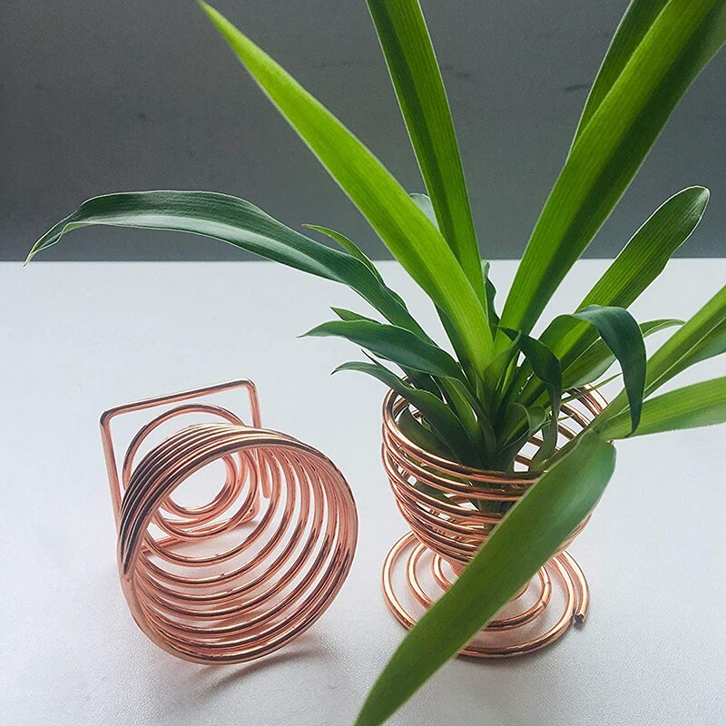 Air Plant Overhead Planting Stand Flower Pot Plant Display Rack, Live Tropical Plants, 4 Pieces, Rose Gold