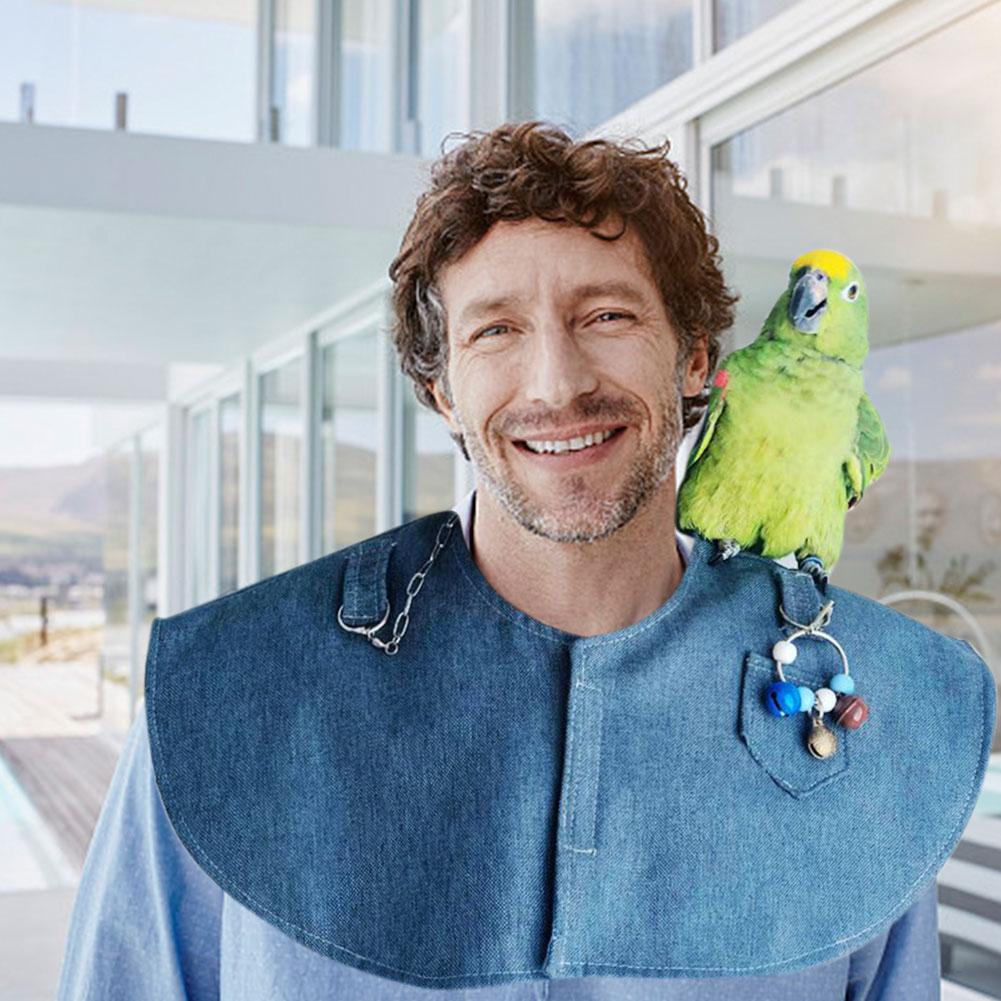 Een papegaai als huisdier: wat moet je weten? | Figo Pet