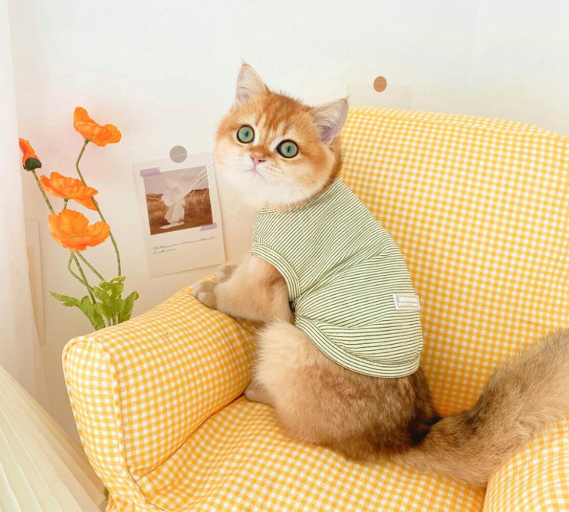 Summer Pet Clothes Cherry Print Cat Clothes for Small Cats Dogs Costume Cherry Print Cat Shirt