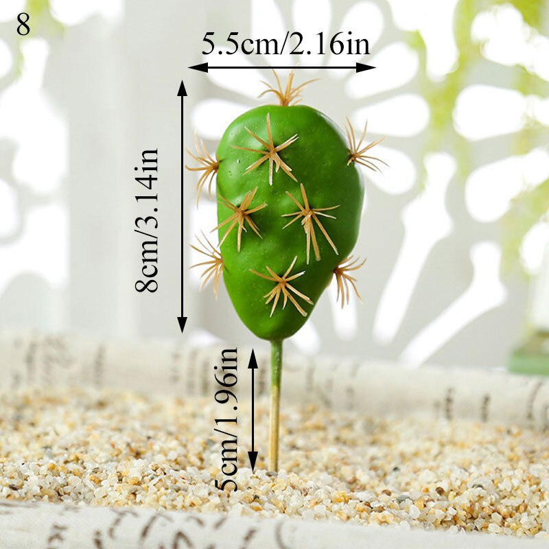 Graines de graines pour Aquarium, plante aquatique, graines faciles, Aquarium, aménagement paysager: 8