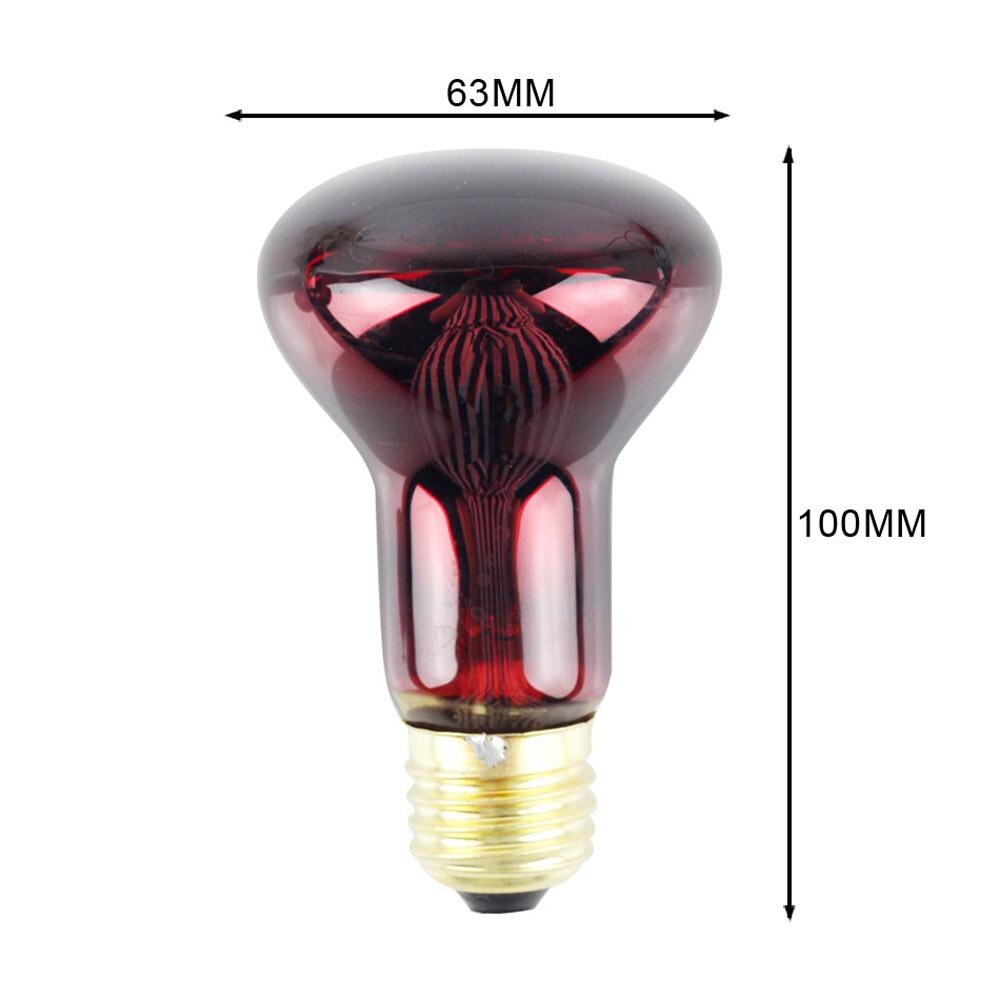 Bombilla calefactora infrarroja R63, 60W, E27, lámpara de fisioterapia