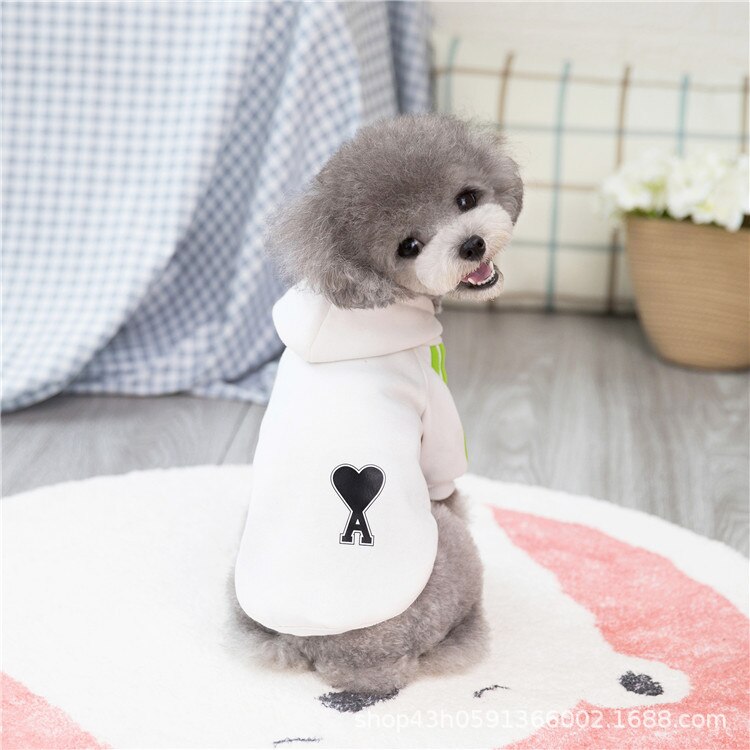 Huvtröja hundkläder kläder vår höst pomeranian teddy bichon pomeranian liten hund kläder katt sportkläder: 2 / Xxl