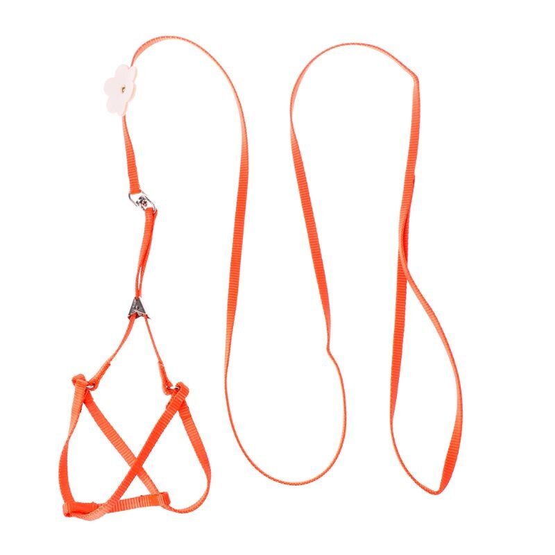 Arnés para mascotas, correa para loro, pájaro, periquito, correa ajustable para exteriores, correa de entrenamiento, correa cruzada voladora, producto de colores suaves: Naranja