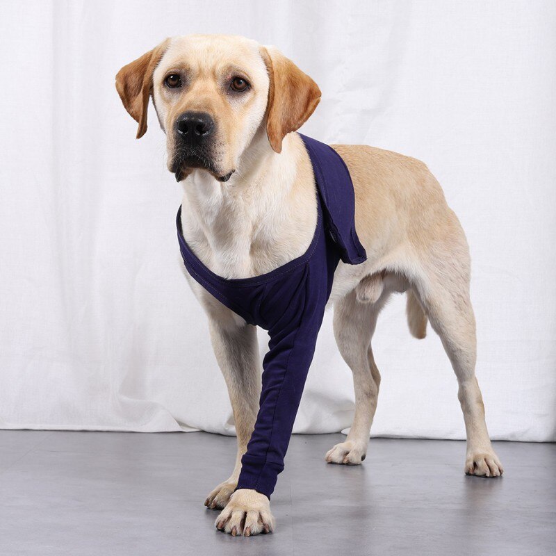 dark blue anti-licking sleeves for pet dogs can help dogs recover quickly after leg surgery