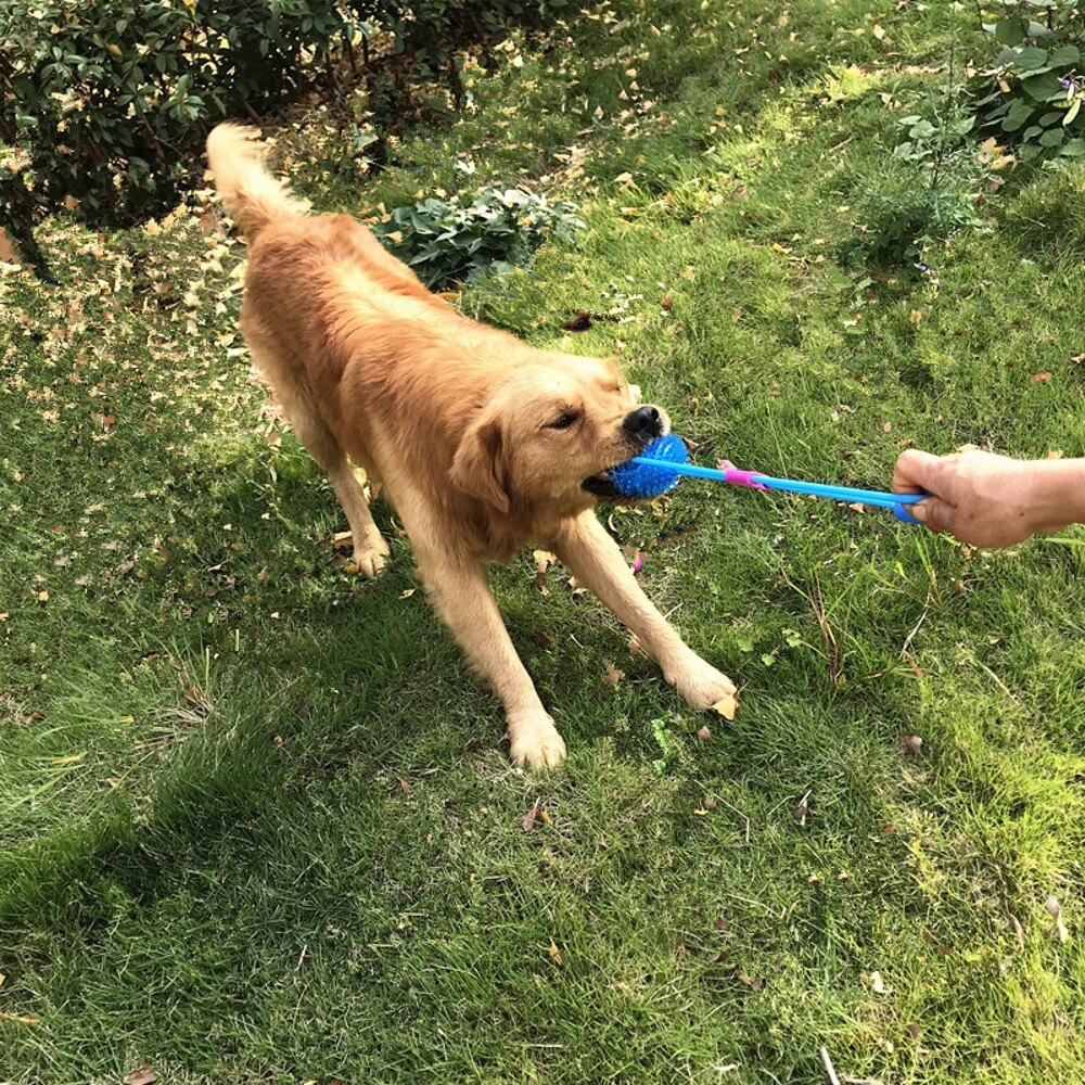Pet Toys For Golden Retriever Large Dogs Training Elastic Drawstring Ball Small Dog Chew Toy Funny Dog Interactive Toys