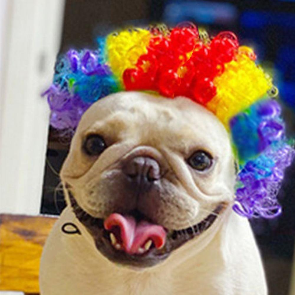 Perruques pour animaux de compagnie, en Fiber de Nylon, libère rapidement la perruque pour chien, Costumes pour Cosplay, tenues d&#39;anniversaire pour chien