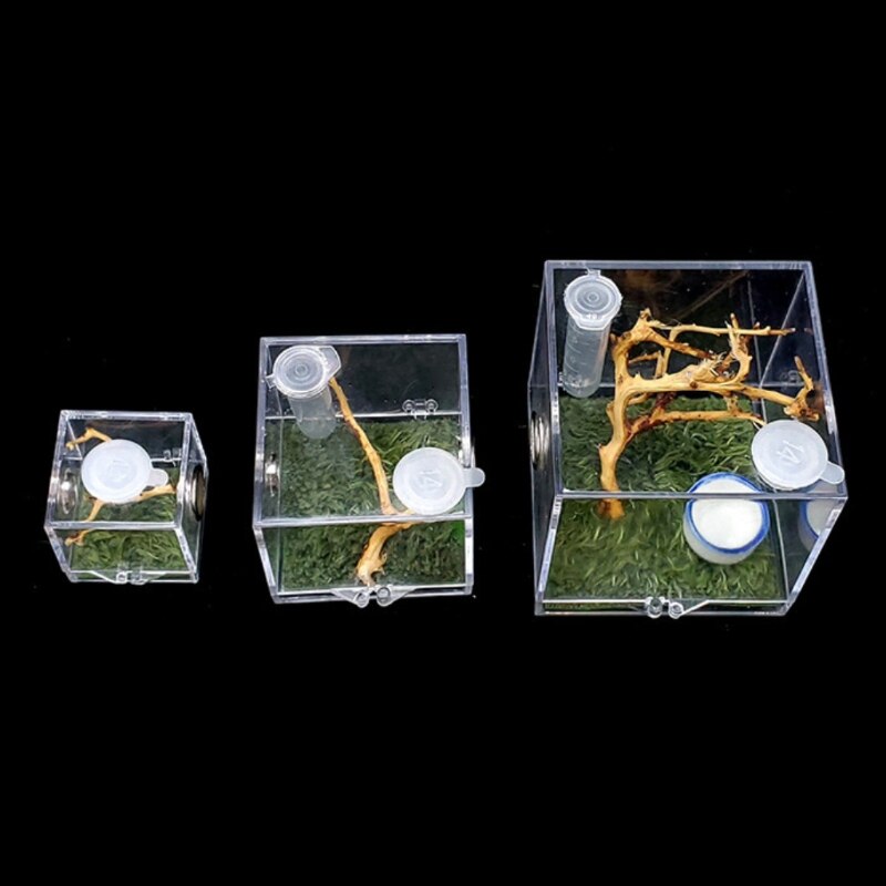 K5DC Transparent Spiders Breeding Box Full View Top Feeding Ventilation Small Reptiles Acrylic Habitat Cage Anti-Escape
