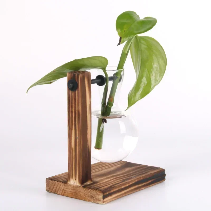 Hydrokultur-Pflanze, Terrarium, Vasevase, Dekoration für Zuhause, Glasflasche, Hydrokultur-Desktop-Dekoration, Büro, grüne Pflanze, kleiner Topf