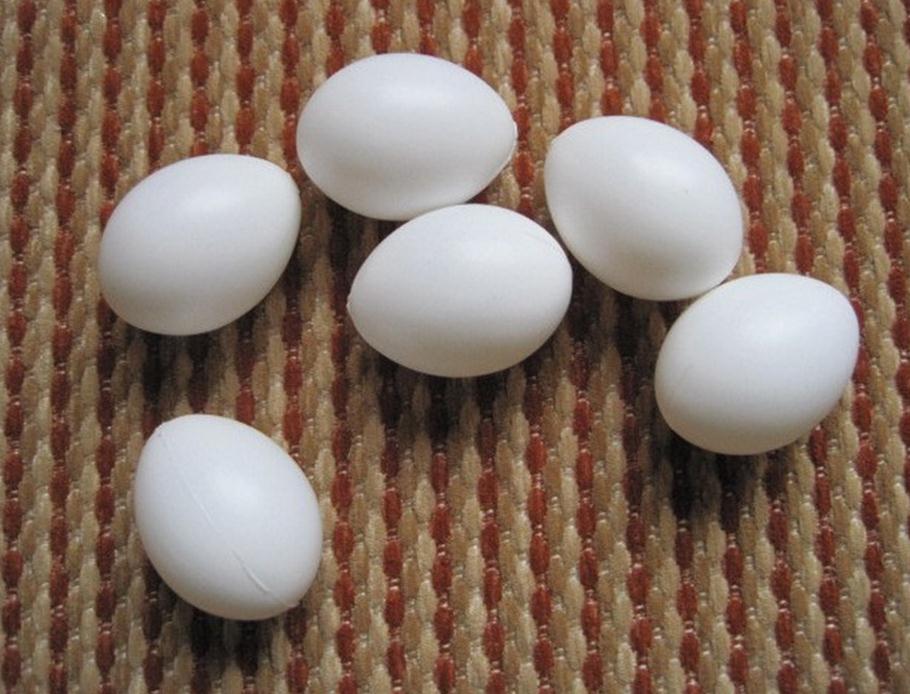 10 pc/lot Bird Supplies filled pigeon eggs pigeon supplies Cited pigeon eggs with plastic eggs 730