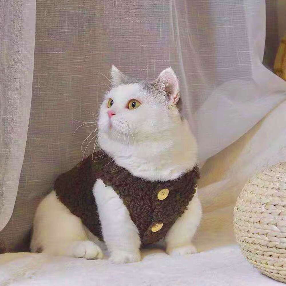 Gilet en peluche pour chat, vêtements à la , résistant au froid, Teddy, épaississement de la chaleur, en cachemire, pour animaux de compagnie, automne et hiver: B / XXXL