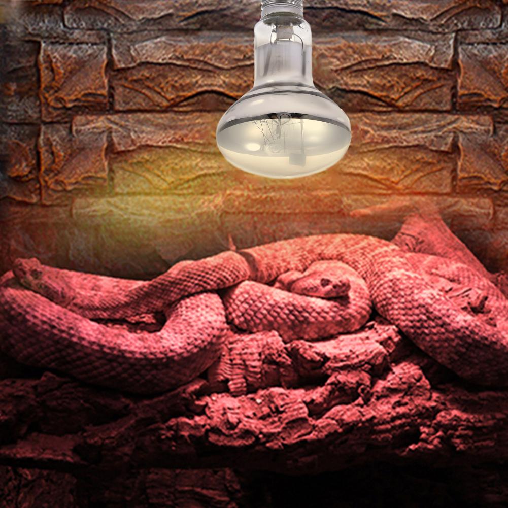 Lámpara de calor para reptiles, Bombilla HID de calor para mascotas E27, para el cuidado de la salud de haluro metálico, lámpara para reptiles, Mini lámpara de calefacción para mascotas