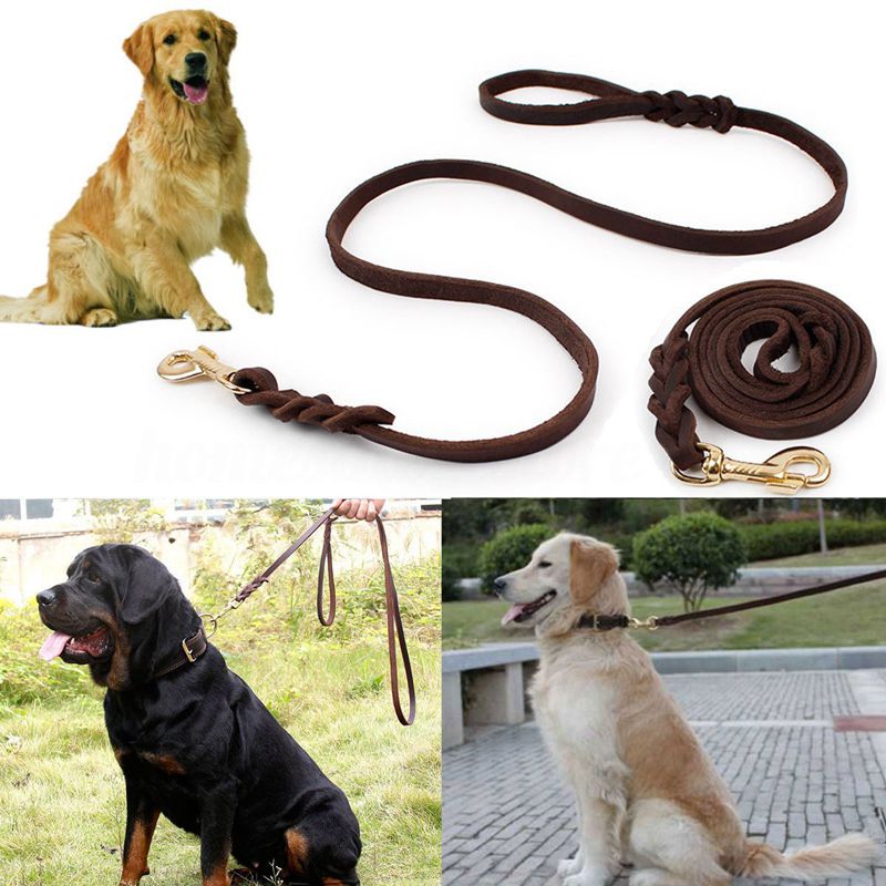 2M Lange Lederen Gevlochten Pet Hond Lopen Tractie Kraag Strap Training Leash Lead: Default Title