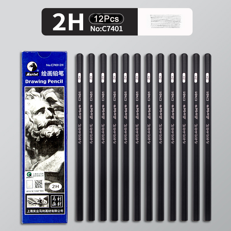 12Pcs 2H HB B 2B 3B 4B 5B 6B 7B 8B 12B 14B Sketch Drawing Graphite Shading Charcoal Pencils Set Sketching for Artists Beginners: Light Grey