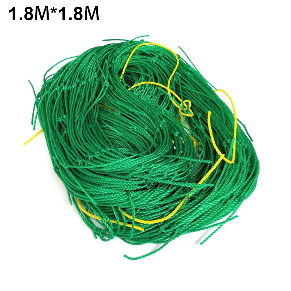 1pc Hi Nylon Garden Netting Loofah Morning Glory Flowers Vine Plants Climbing Net Cucumber Vine Grow Holder Brackets: Nylon Net 1.8Mx1.8M