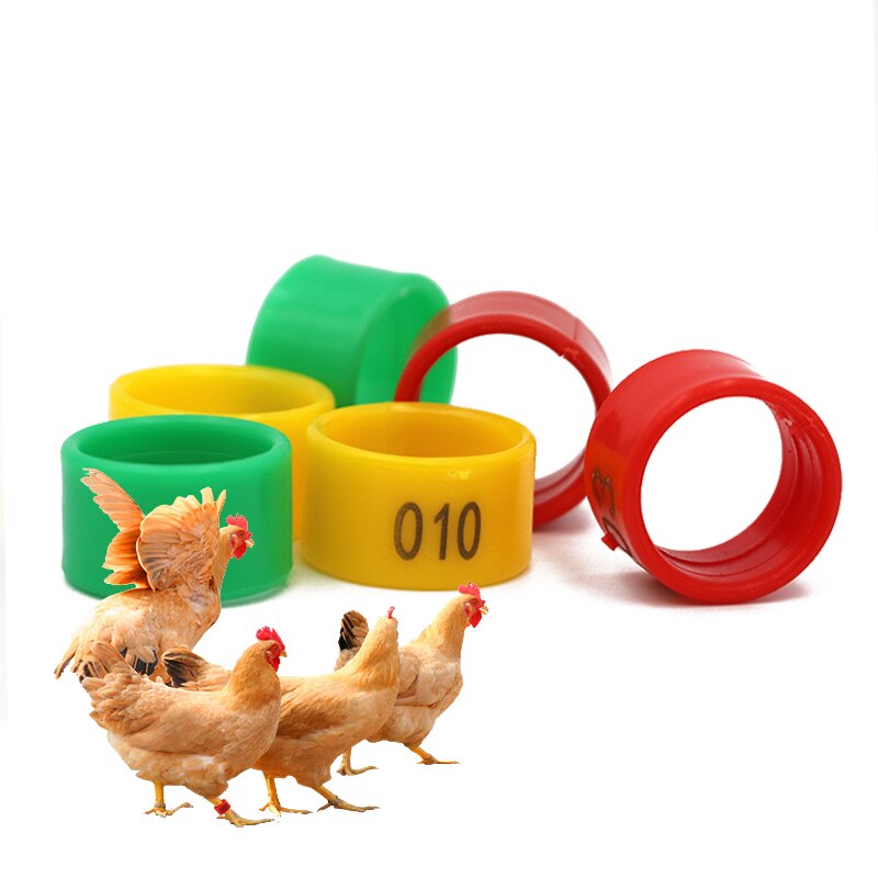 100 Stuks Kip Voet Ring Digitale Plastic Kip Been Gesp Identificatie Ring Kuiken Eend Gans Mark Ring Farm Animal Apparatuur