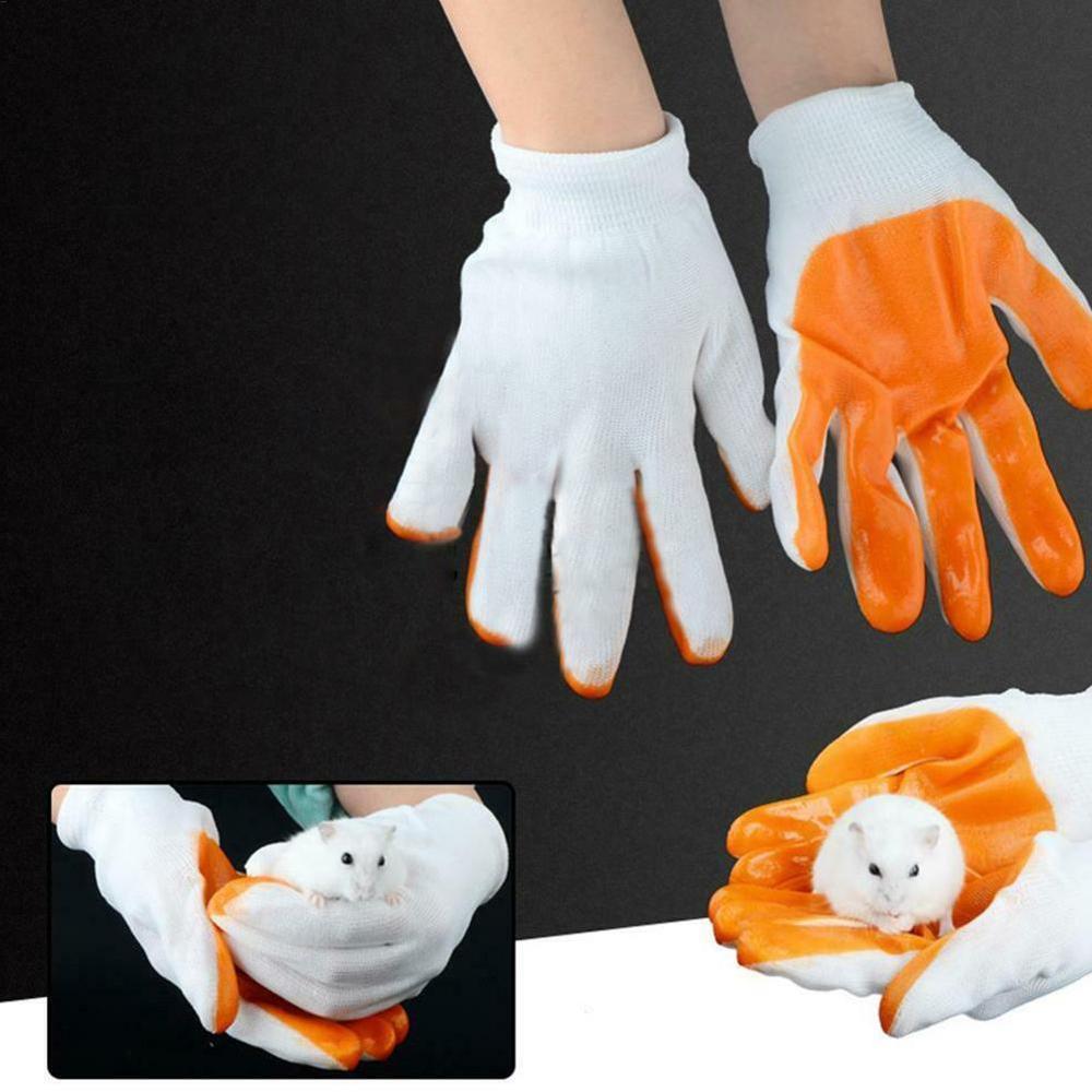Kleine huisdieren bijtbestendige handschoenen onbreekbare handbeschermingshandschoenen varkens chinchilla's hamsters bijten konijnen cavia  x3 m 6
