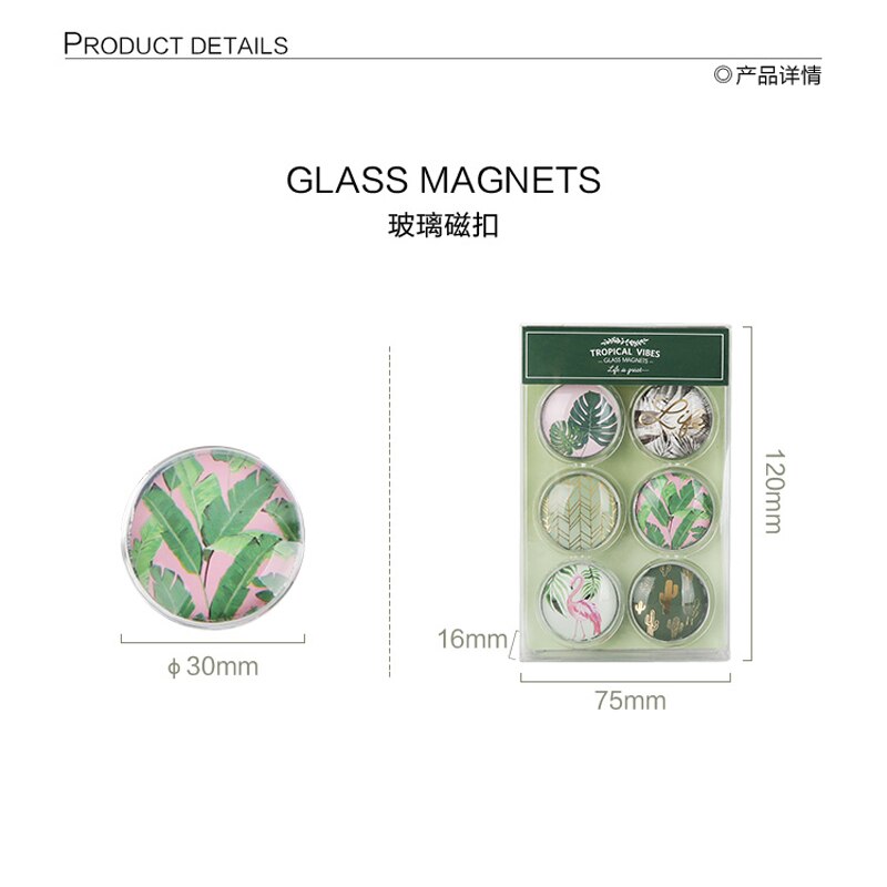 Imanes de cristal de la serie NEVER Plant, imanes, tachuelas para el pulgar, soporte de mensajes para pizarra blanca, de artículos de oficina, papelería, tienda