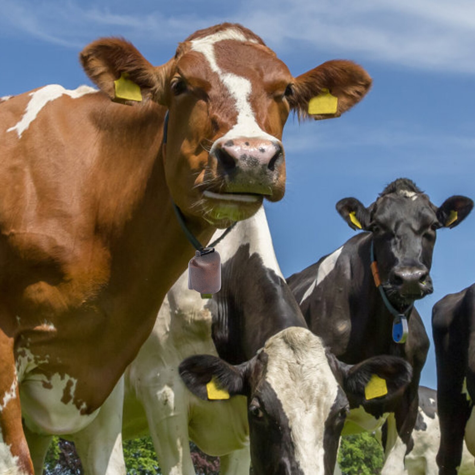 2Pcs Cattle Bells Iron Bells for Cows and Cattle Bell Pendants Livestock Supplies