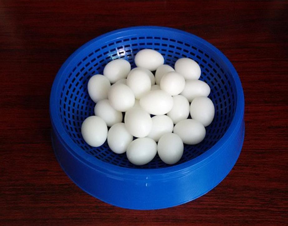 10 pc/lot Bird Supplies filled pigeon eggs pigeon supplies Cited pigeon eggs with plastic eggs 730