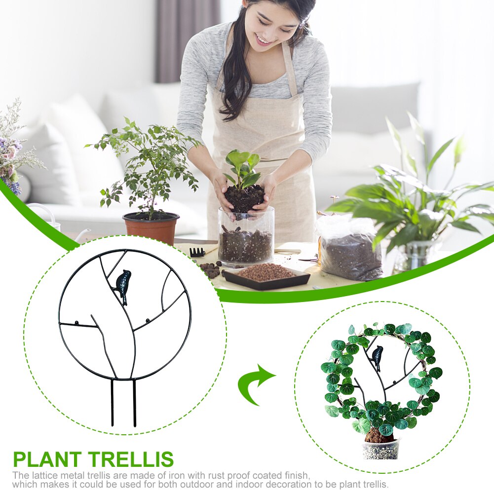 Indoor Pot Pea Display Climbing Plants Vine Cucumbers Rose Ivy Support Garden Flower Vegetables DIY Metal Plant Trellis