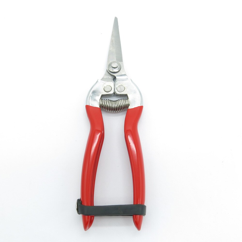 Gartenschere obst baum gartenbau begrünung beschneiden garten zange edelstahl schere Cutter blume zweig werkzeuge: WS05-1