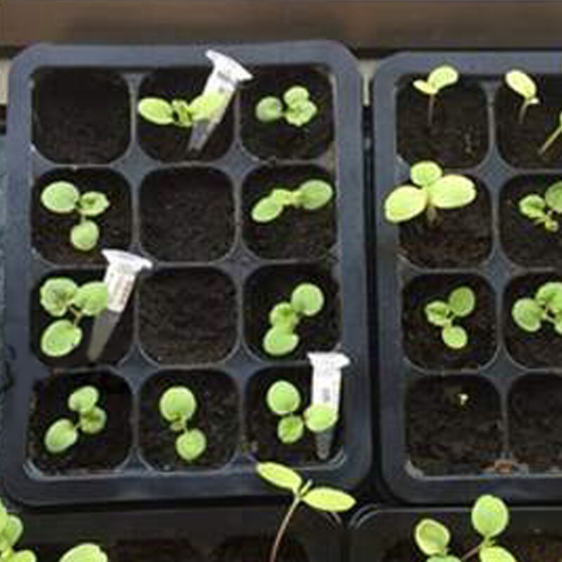 Seed Trays Seedling Gardening Germination Tray Plant Grow Kit for Seeds Growing Starting