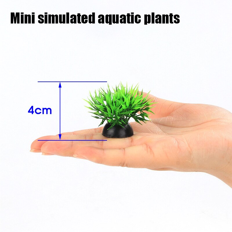 Mini Glass Fish Tank Betta Fish Tank Aquarium Fish Tank Micro Landscape Ecological Bottle Empty Bottle DIY Aquarium Accessories: Aquatic Plants